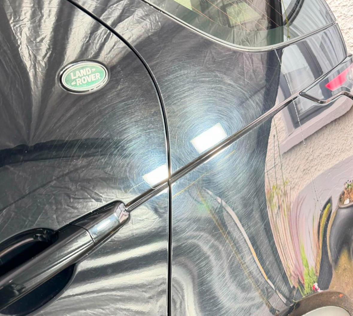 Car paint after correction and coating - perfect finish